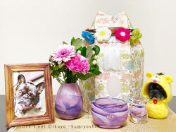 紫のシックなガラス仏具　かっこいい紫仏具　大人かわいい